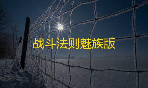 战斗法则魅族版